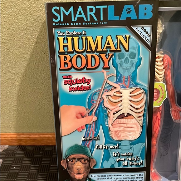 SmartLab Human Body Model - Picture 2 of 6